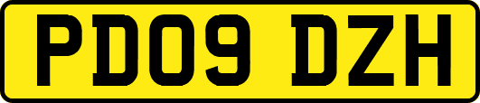 PD09DZH