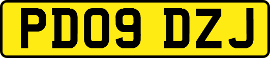 PD09DZJ