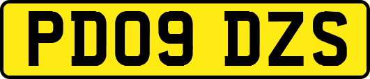 PD09DZS