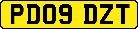 PD09DZT