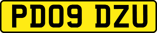 PD09DZU