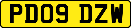 PD09DZW