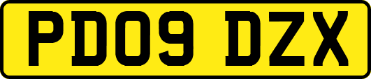 PD09DZX