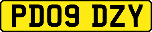PD09DZY