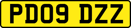 PD09DZZ