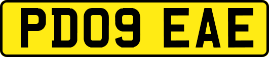PD09EAE