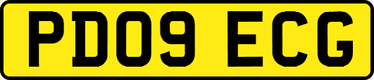 PD09ECG
