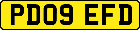 PD09EFD