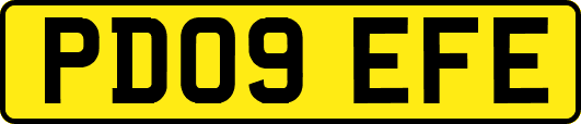 PD09EFE
