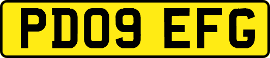 PD09EFG