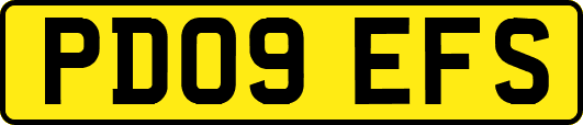 PD09EFS