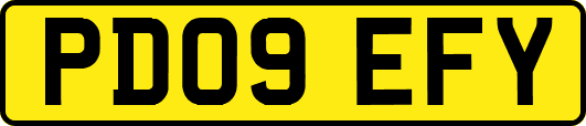 PD09EFY