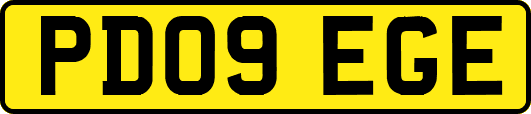 PD09EGE