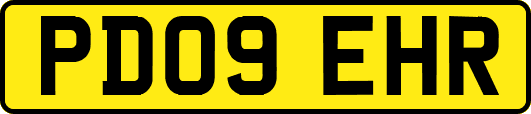 PD09EHR