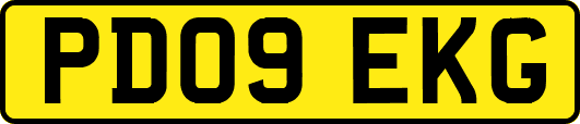 PD09EKG