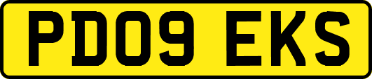 PD09EKS