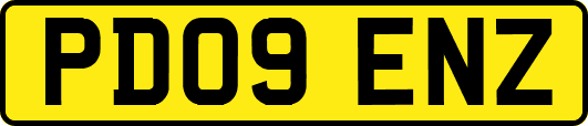 PD09ENZ