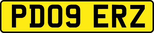 PD09ERZ