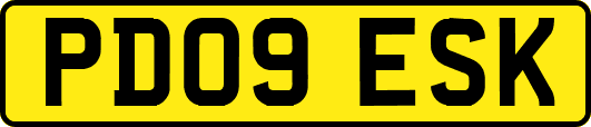 PD09ESK
