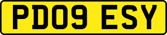 PD09ESY
