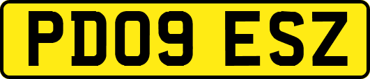 PD09ESZ