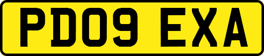 PD09EXA