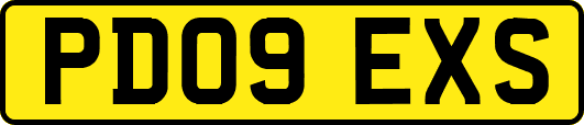 PD09EXS