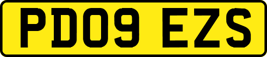 PD09EZS