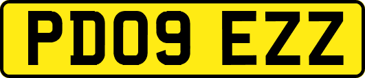 PD09EZZ