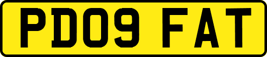 PD09FAT