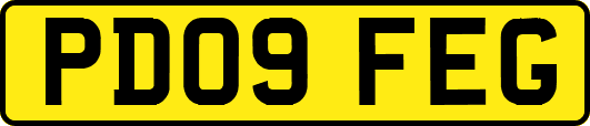 PD09FEG
