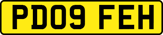 PD09FEH