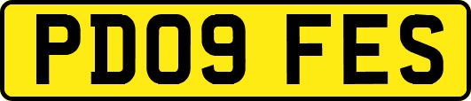 PD09FES