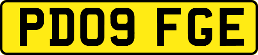 PD09FGE