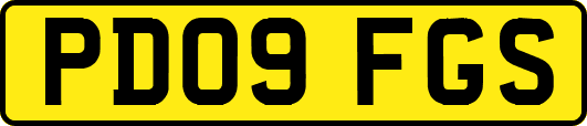 PD09FGS