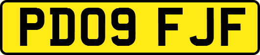 PD09FJF