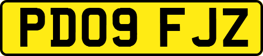 PD09FJZ