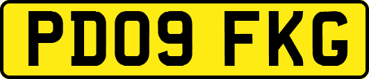 PD09FKG