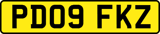 PD09FKZ