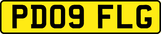 PD09FLG