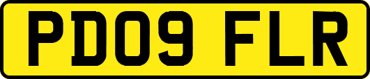PD09FLR