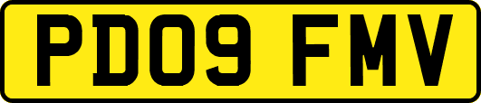 PD09FMV