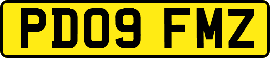 PD09FMZ
