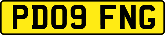 PD09FNG