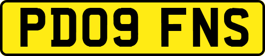 PD09FNS