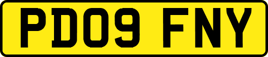 PD09FNY