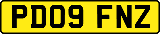 PD09FNZ