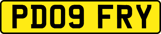 PD09FRY