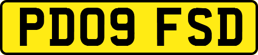 PD09FSD