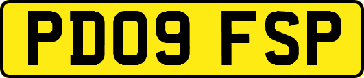 PD09FSP